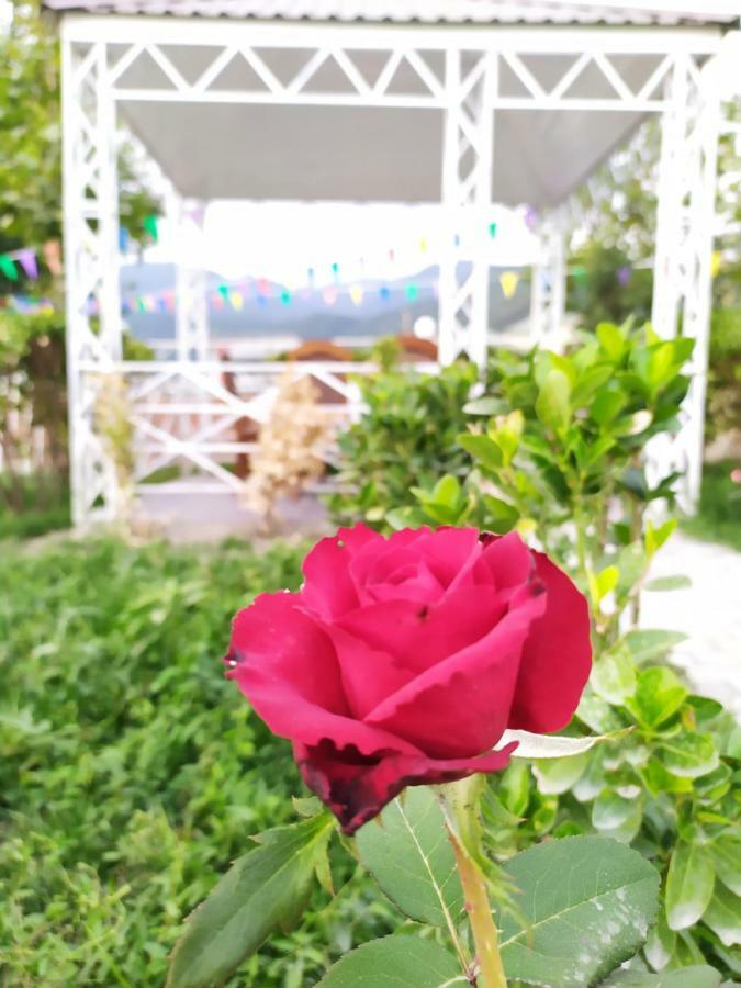 Bliss Inn Boutique Hotel Gabala Luaran gambar