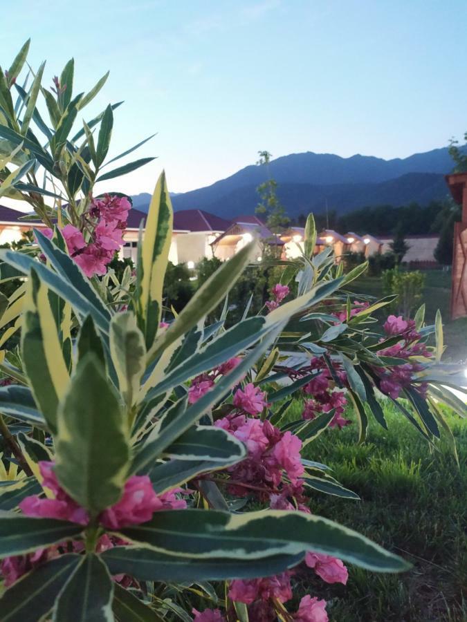 Bliss Inn Boutique Hotel Gabala Luaran gambar